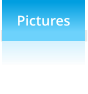 Pictures